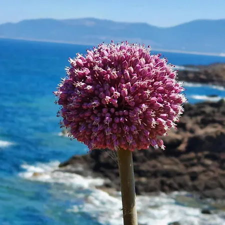 Gemuetliche Neue In La Ciaccia Valledoria (Sardinia)